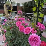 Privatunterkunft Friendly House Eforie Nord