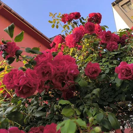 Privatunterkunft Friendly House