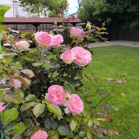 Friendly House Eforie Nord