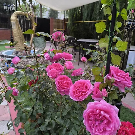 Privatunterkunft Friendly House Eforie Nord